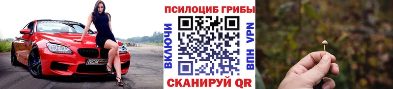 купить наркотик  Далматово  площадка телеграм  Псилоцибиновые грибы Magic Shrooms 